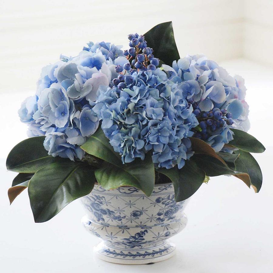 hydrangea in vase