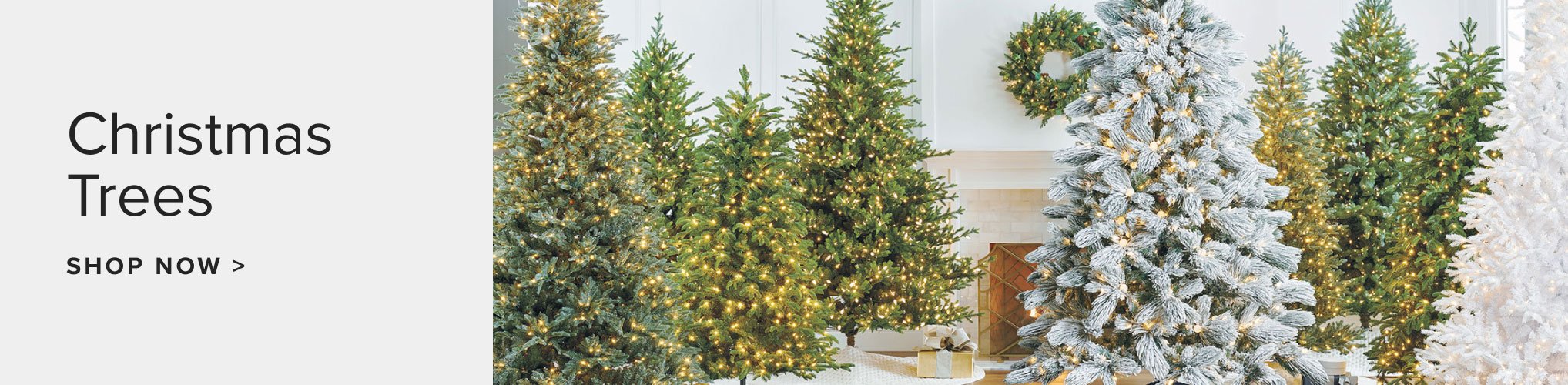 Shop Christmas Trees